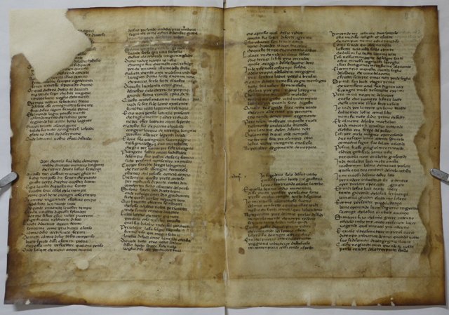 “L’Universo di Dante: documenti, incunaboli, cinquecentine, xilografie”. Mostra per il settimo centenario della morte di Dante 1321-2021